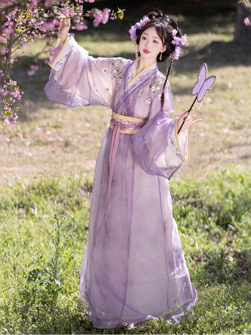 Ensemble de robes Hanfu de style Wei-Jin à col croisé et chemise longue ...